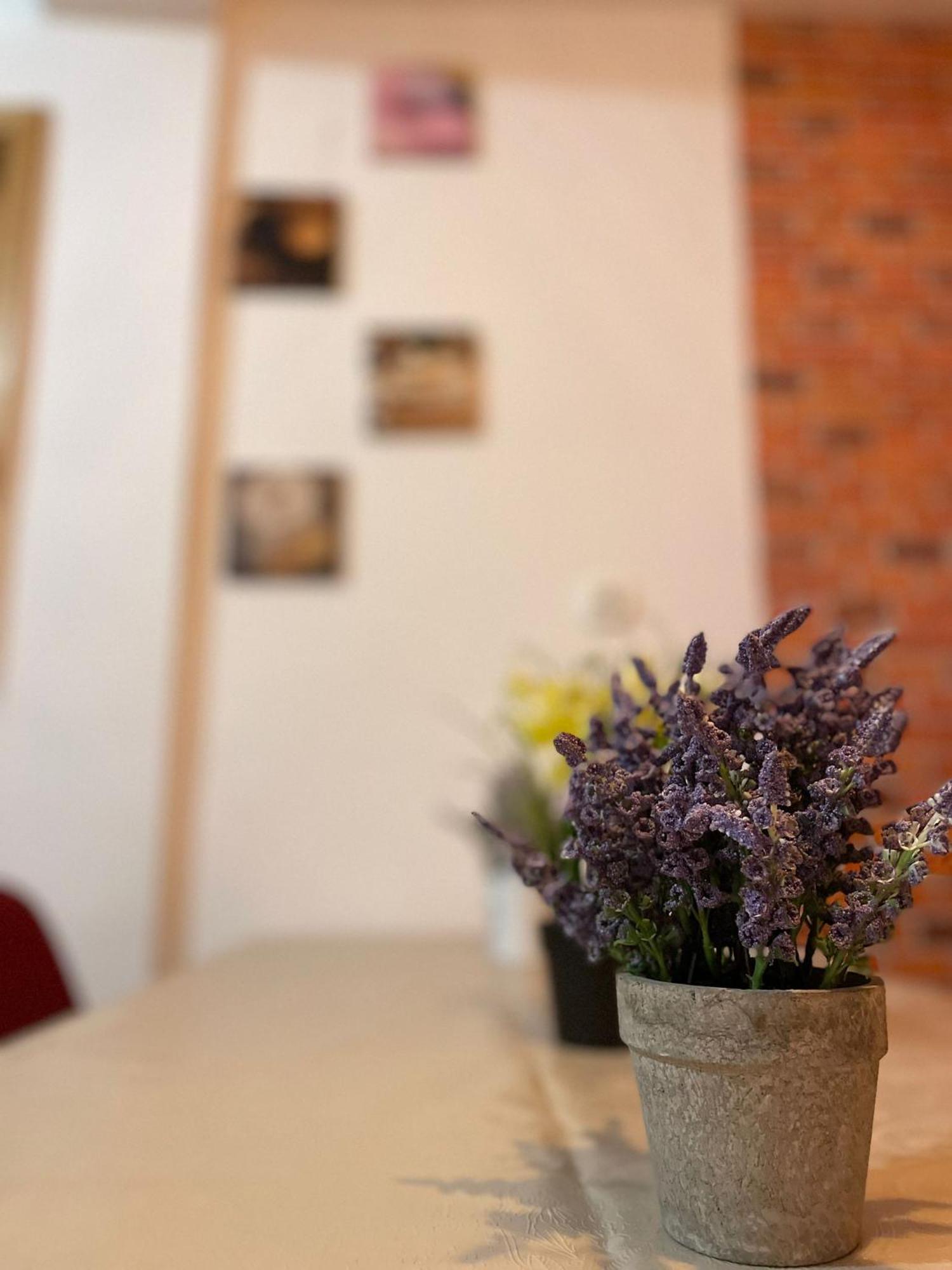 Mossapartments Букурещ Екстериор снимка